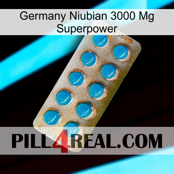 Germany Niubian 3000 Mg Superpower new09.jpg